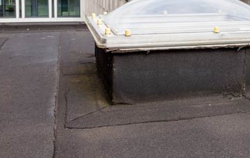 disadvantages of Terfyn flat roofs