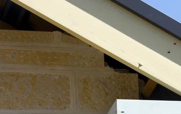 soffit repair Terfyn