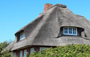 thatch roofing Terfyn